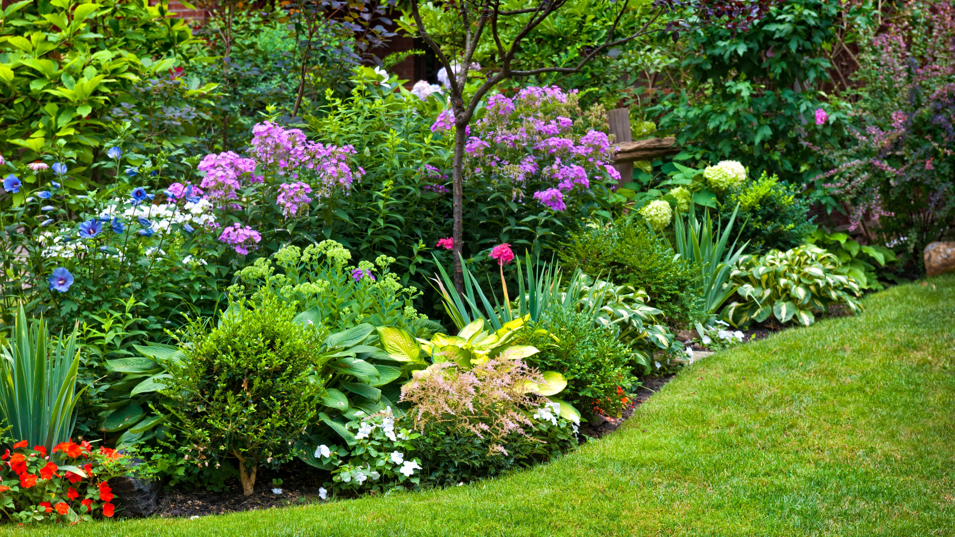 Colourful Plant Border