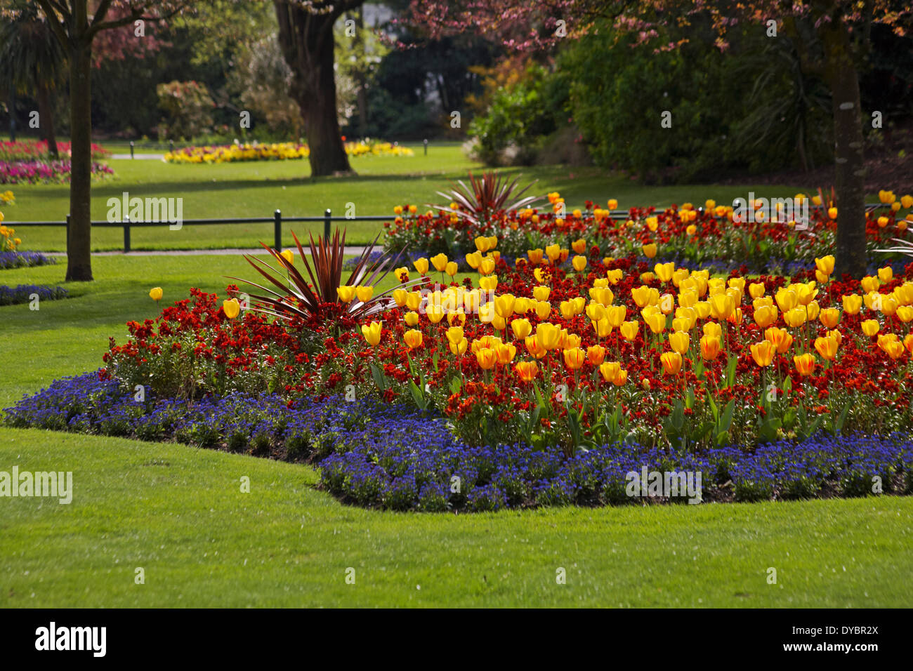 Spring Flower Beds