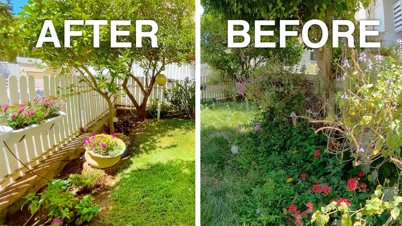 Garden Transformation