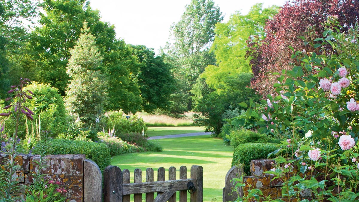 Cottage Garden Flowers