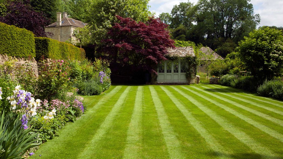 Striped Lawn Mowing